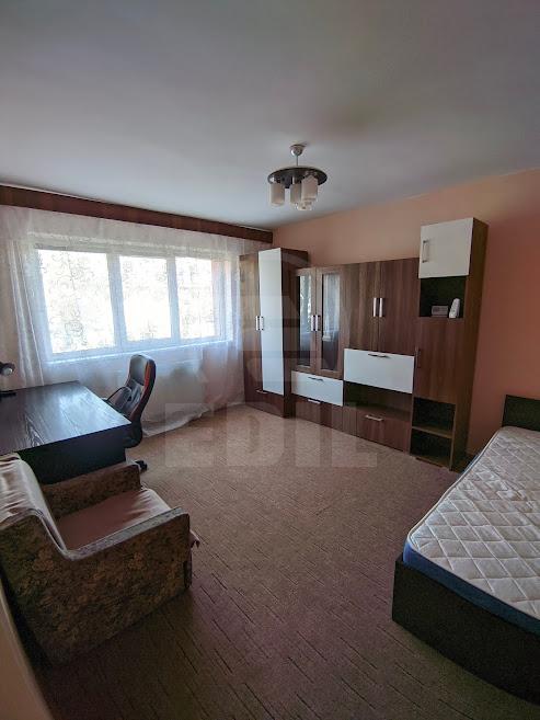 Rent Apartment 2 Rooms GRIGORESCU-5