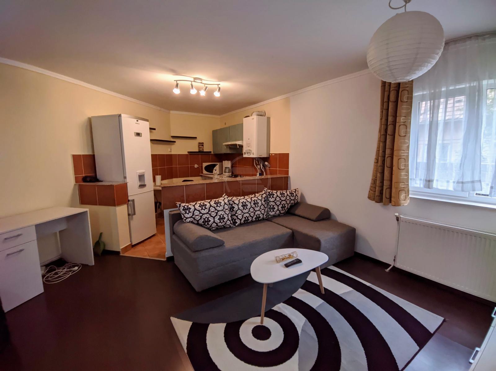 Rent Apartment 2 Rooms MANASTUR-5