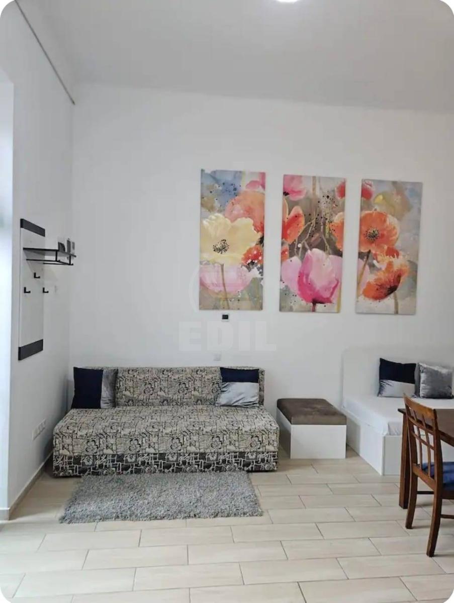 Louer Appartement 1 Chambre CENTRAL