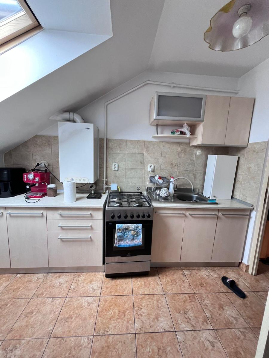 Inchiriere Apartament 1 camera MARASTI