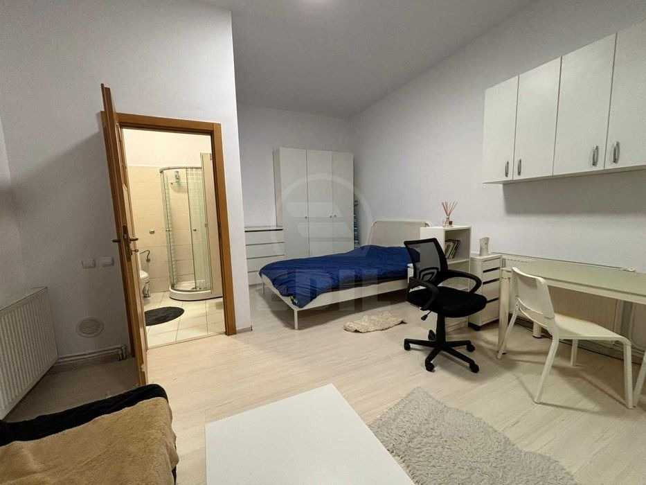 Inchiriere Apartament 1 camera CENTRAL-2