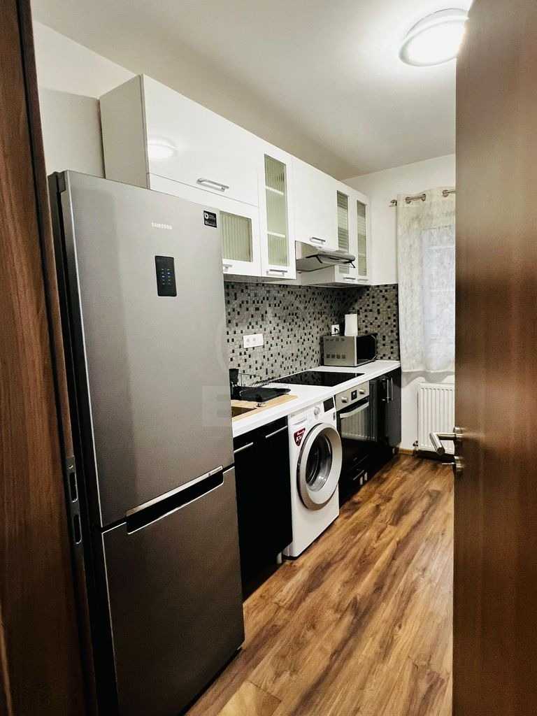 Inchiriere Apartament 2 camere BUNA ZIUA-12