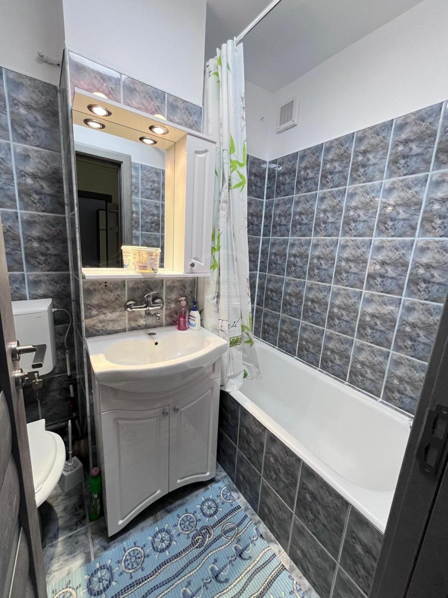 Inchiriere Apartament 1 camera MANASTUR